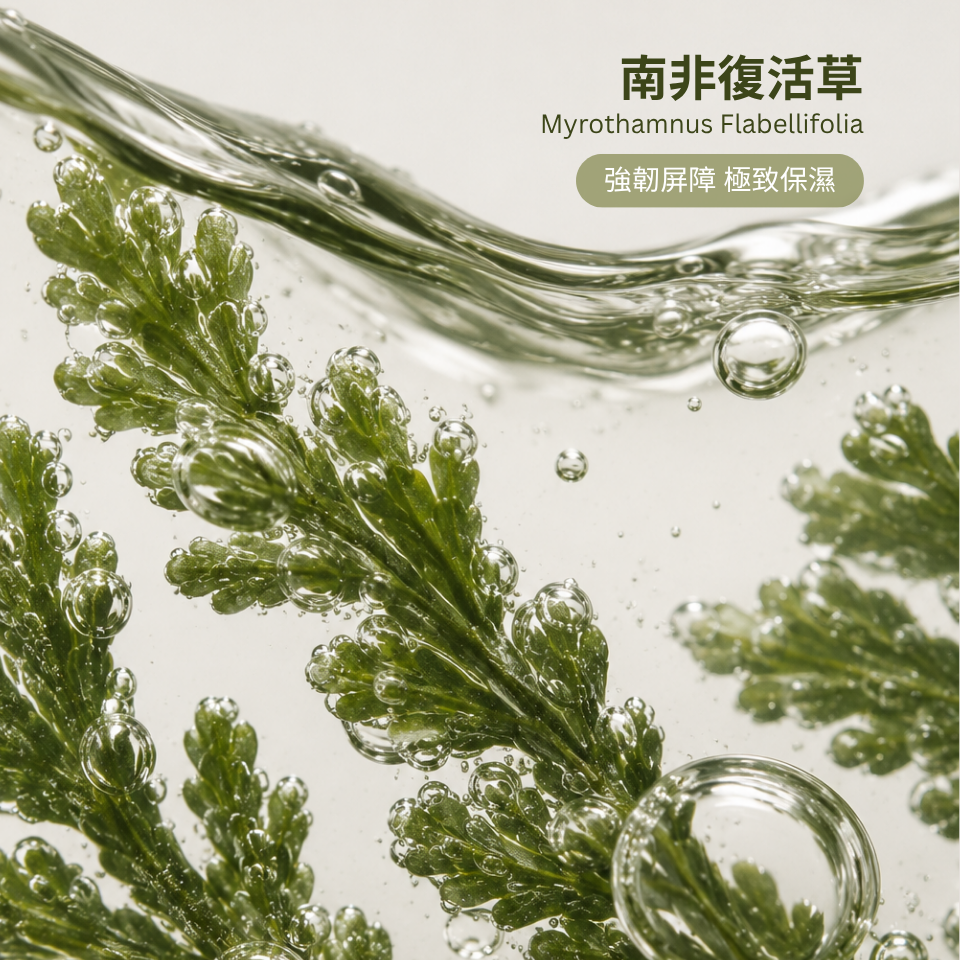 外泌體密集修護面膜(4入)